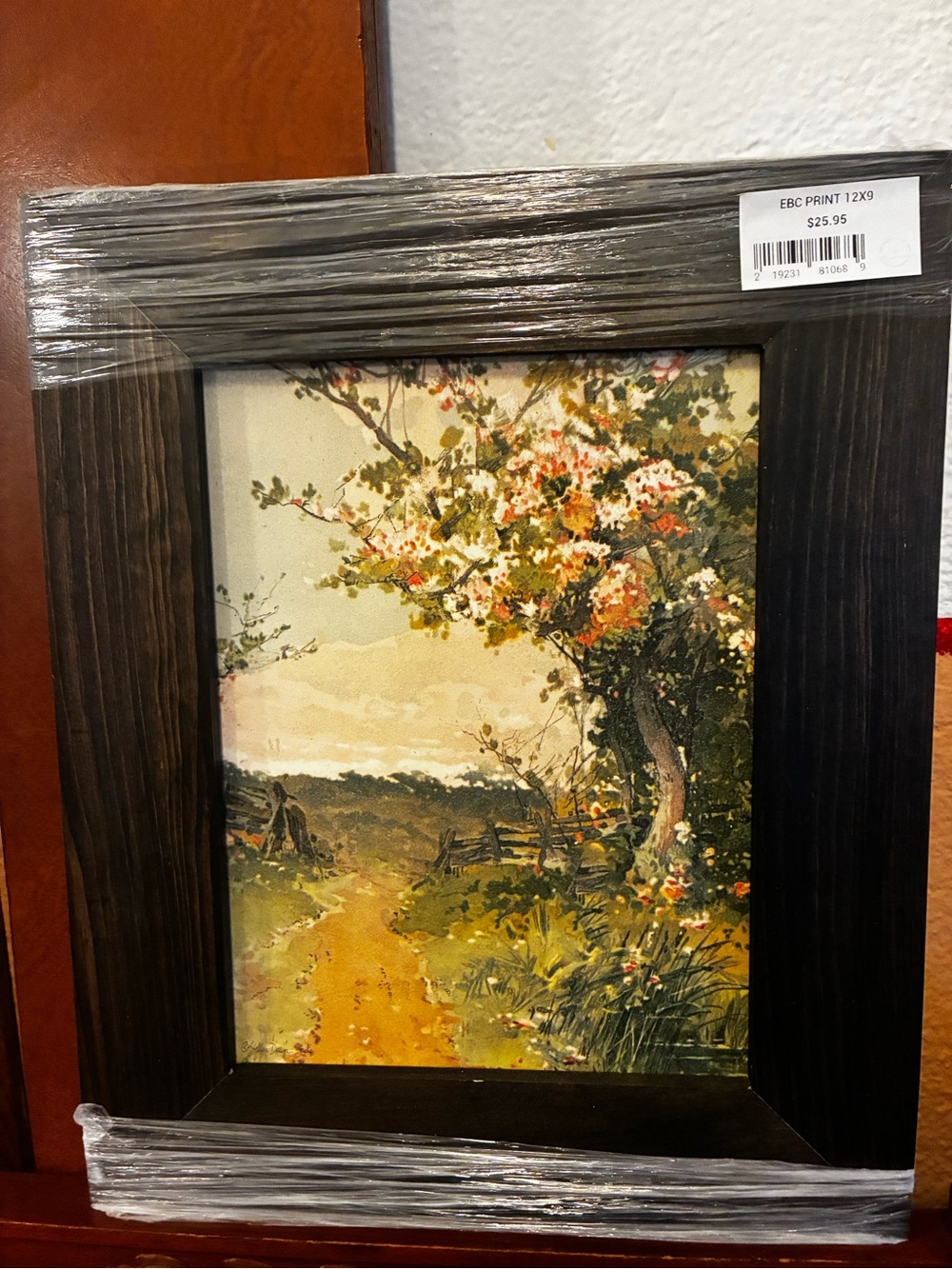 Landscape Print in Wooden Frame